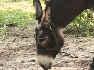 Junges Mädchen hat Sex mit alten Sack